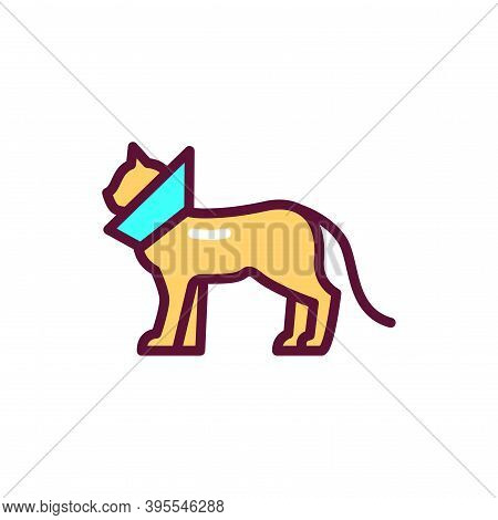Cat In Bandage Color Line Icon. Postoperative Rest. Isolated Vector Element. Outline Pictogram For W