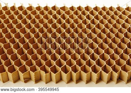 honeycomb cells of cardboard stiffening rib background