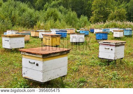Apiary In A Forest Glade With Colorful Wooden Beehives