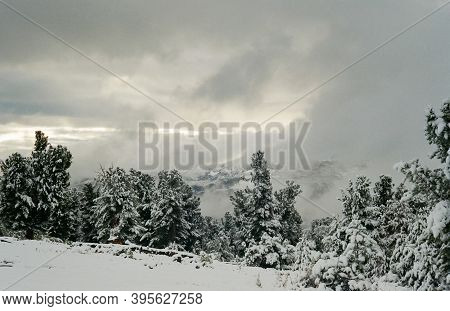 Winter Altai, Mountains And Forests In The Snow. Winter Came To The Altai And Snow Fell.