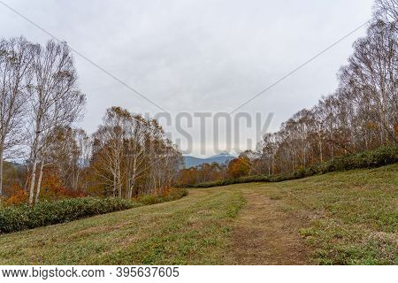 Tashiro Ski Resort In Autumn Foliage Season. Naeba, Yuzawa, Niigata Prefecture, Japan