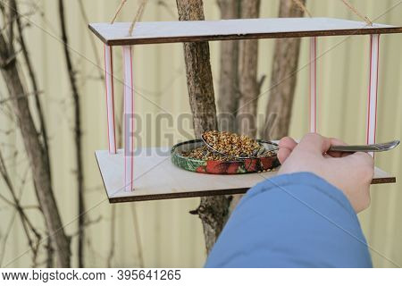 Boy Adds Grain To The Bird Feeder For Wintering Birds
