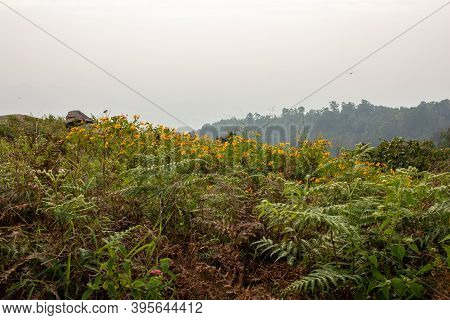 Beautiful View Of The Landscape Along The Shevaroy Hills, Yercaud, India
