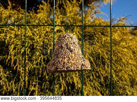 Bell From Various Grains, A Delicacy For All The Birds In The Garden