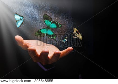 Butterflies Over Hands On A Black Background And Rays