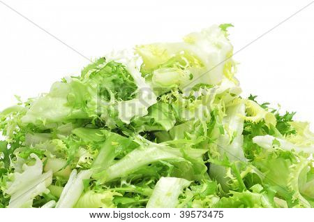 흰색 바탕에 escarole 꽃 상 추의 몇 가지 다진된 나뭇잎