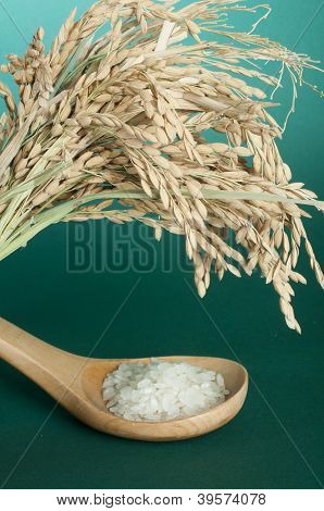 Baldo ข้าวในช้อนไม้