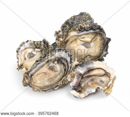 Oysters Mussel An Isolated On White Background.