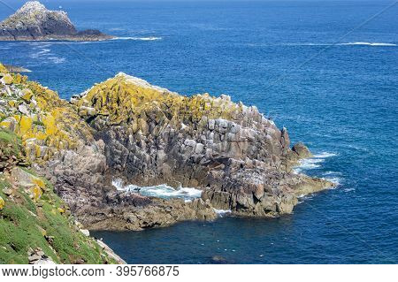 Saltee Islands At Wexford Ireland In A Sunny Day.
