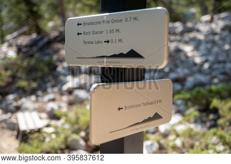 Great Basin Trail Sign At Intersection Of Bristlecone Pine And Alpine Lakes Loop