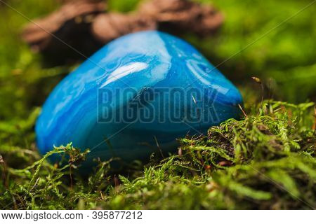 Still Life- Stones In Green Moss For Interior Decoration