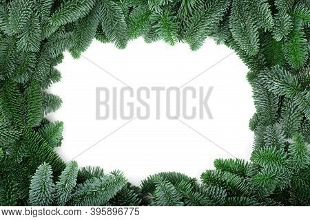 Traditional Green Christmas Tree Noble Fir Border Frame Isolated On White Background Copy Space For 