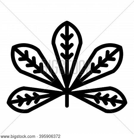 Nature Chetnut Leaf Icon. Outline Nature Chetnut Leaf Vector Icon For Web Design Isolated On White B
