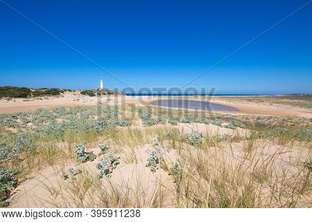 Landscape In Natural Park Of Trafalgar Cape In Cadiz