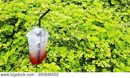 Plastic Glass Of Cold Strawberry Italian Soda Putting On Green Fern Background And Copy Space On Rig