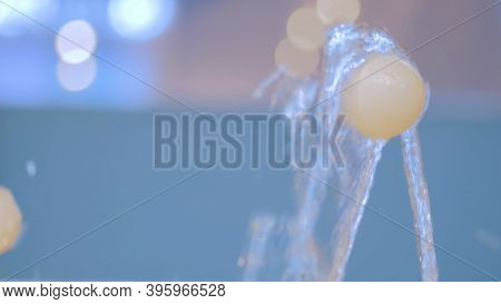 Tennis Ball On Jet Of Water. Science, Physics And Hydrodynamic Concept