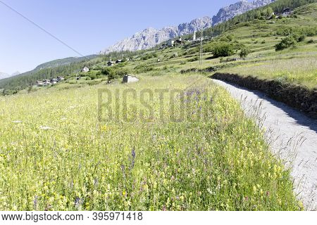 Italian Mountain View In A Sunny Summer Day