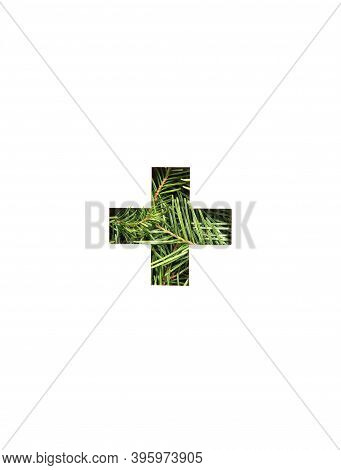 Plus Summation Sign Or Cross Of Natural Spruce Tree Needles, Cut Paper Isolated On White. Xmas Font 