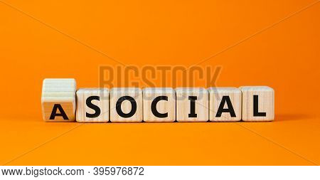 Social Or Asocial. Fliped Wooden Cubes And Changed The Word 'asocial' To 'social' Or Vice Versa. Bea