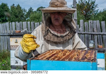Beekeeper Opens The Beehouses Cover To Take Honey Out Of It