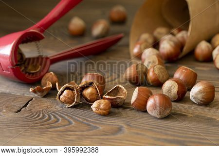 Hazelnuts With A Red Nutcracker In A Bowl On A Wooden Board, Nutshell, Dark Photo