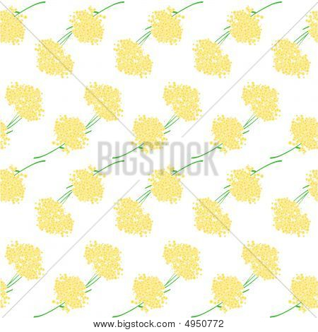 Mimoza Seamless Pattern sur fond blanc