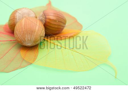 nocciole e foglie trasparenti colorati su sfondo verde