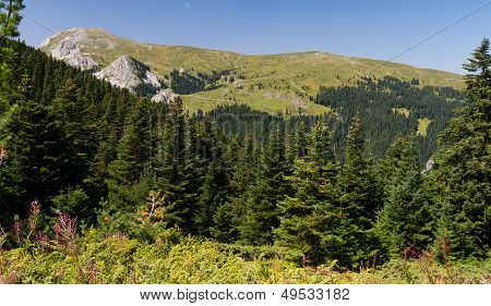 ภูเขา Ilgaz