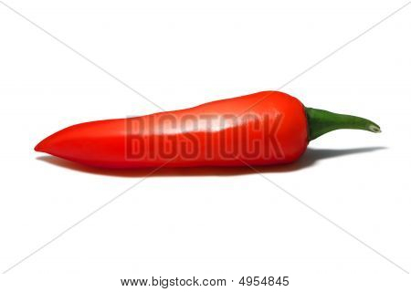 Pimiento rojo de la cabra