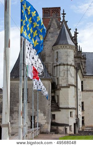 Amboise castle .Valley of the river Loire. France