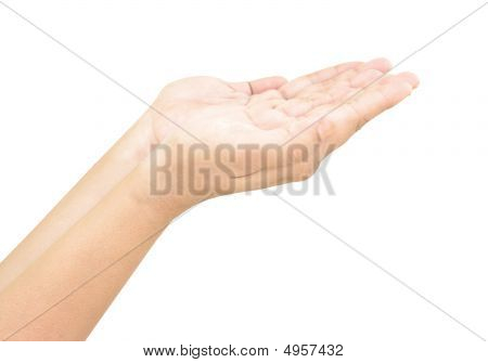 Woman Hand