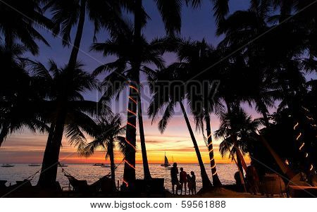 siluet of palm trees during sunset