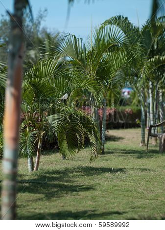 Architecture Hotels Goa
