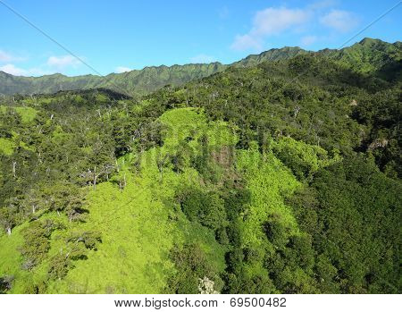 Greens of Kauai