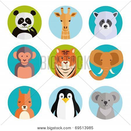 Cute animals in colored round badges