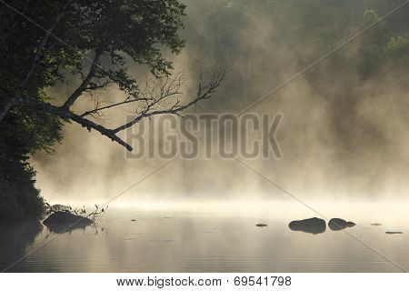 Misty Cove