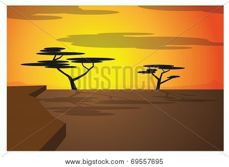 African Savana
