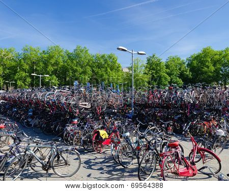 Bicycle Parking