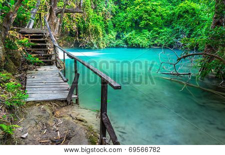 Wood Bridge Beside Swamp