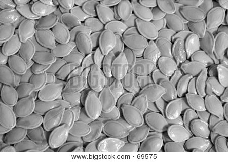 Pumpkin Seed Background B&W