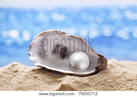 Shell with a pearl on a sea sand.
