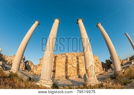Ruins Of Ancient Salamis. Famagusta District, Cyprus