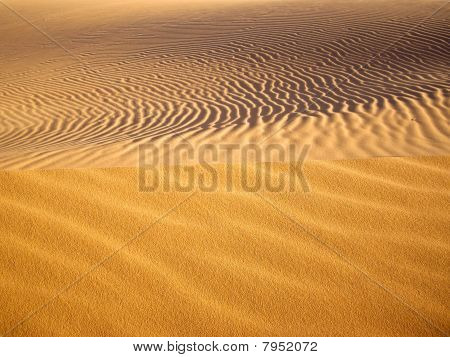 Golden Sands