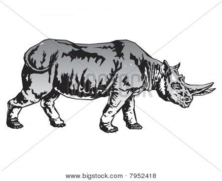 Rhino