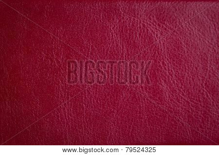 Leather Texture