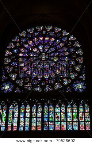 Paris France - Notre Dame cathedral .