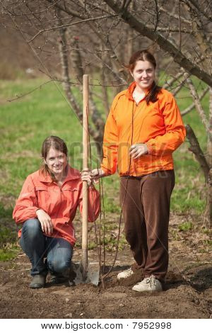 Frauen machen orchard
