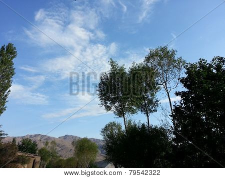 Scenery