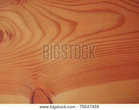 Larch Wood Background