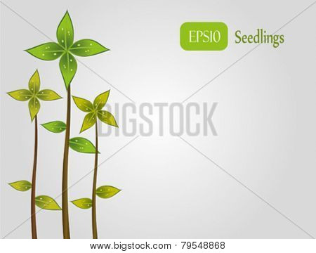Three green seedlings growing. Fully vector. Enjoy!